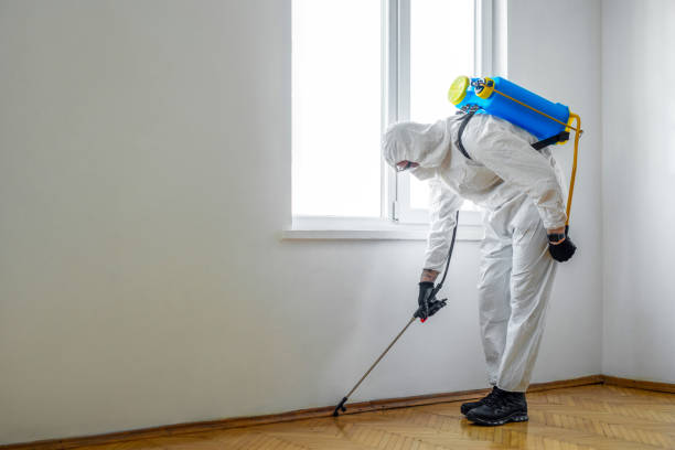 Best Affordable Pest Control Services  in Upper Sandusky, OH